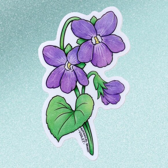 3 for $15 - Violet Sticker -‎ February Birth Flower - Waterproof Vinyl Decal - Picture 6 of 6